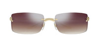 Cartier CT0503S Occhiali da sole 003 AE