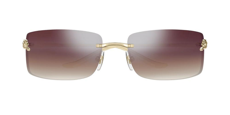 Cartier CT0503S Occhiali da sole 003 AE