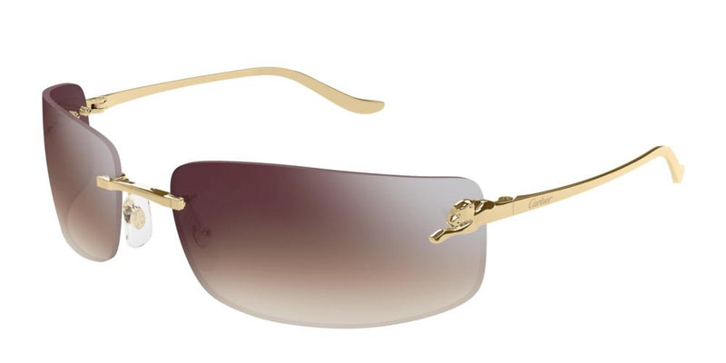 Cartier CT0503S Occhiali da sole 003 AE