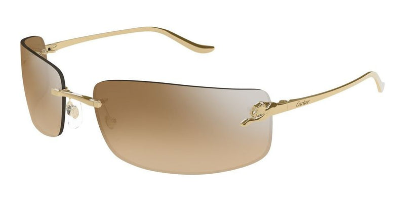 Cartier CT0503S Occhiali da sole 004 AC