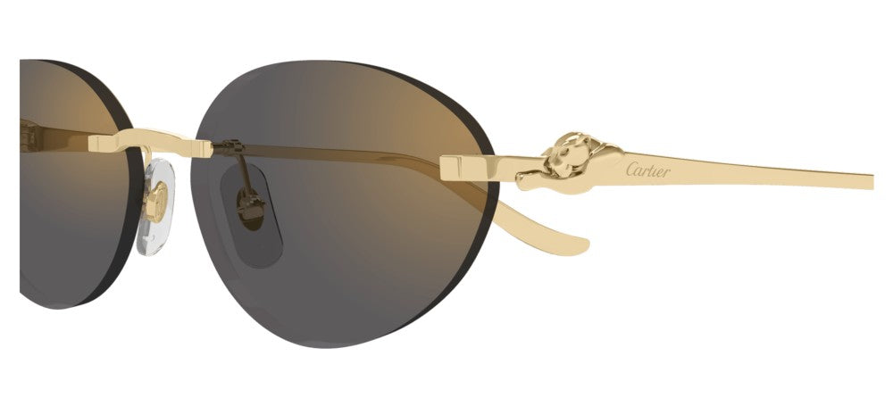 Cartier CT0504S Occhiali da sole 001