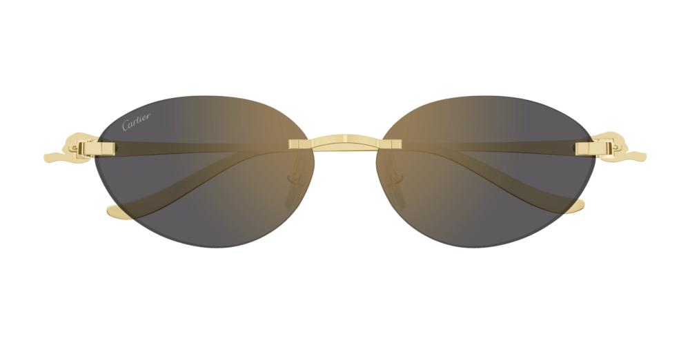 Cartier CT0504S Occhiali da sole 001