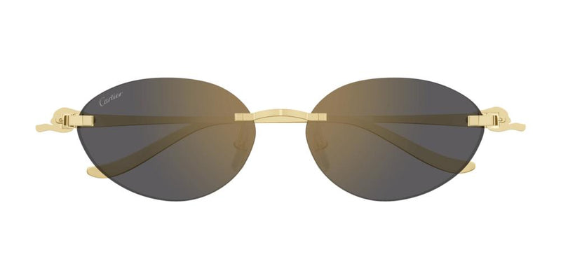 Cartier CT0504S Occhiali da sole 001
