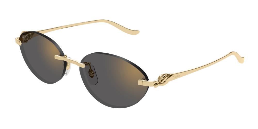 Cartier CT0504S Occhiali da sole 001