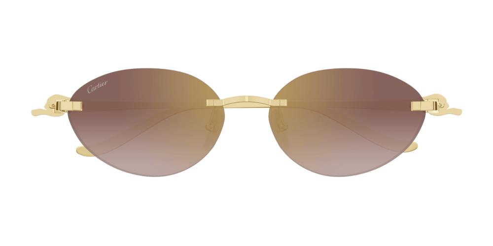 Cartier CT0504S Occhiali da sole 002 BA