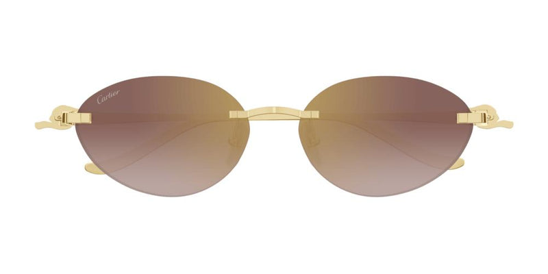 Cartier CT0504S Occhiali da sole 002 BA
