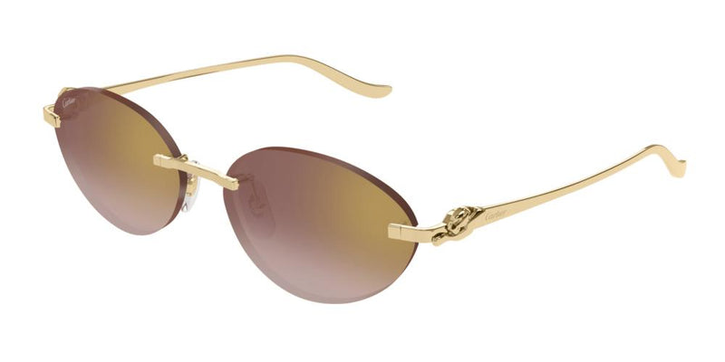 Cartier CT0504S Occhiali da sole 002 BA