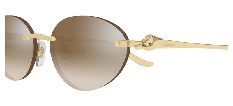 Cartier CT0504S Occhiali da sole 003 AF