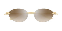Cartier CT0504S Occhiali da sole 003 AF