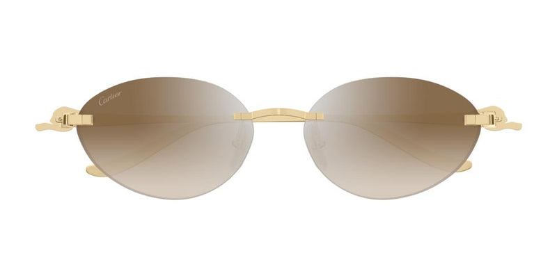 Cartier CT0504S Occhiali da sole 003 AF