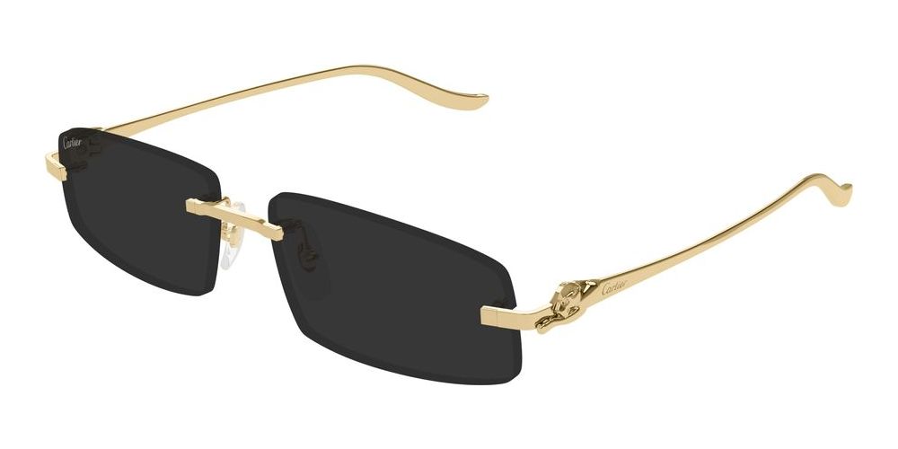 Cartier CT0505S Occhiali da sole 001 BG
