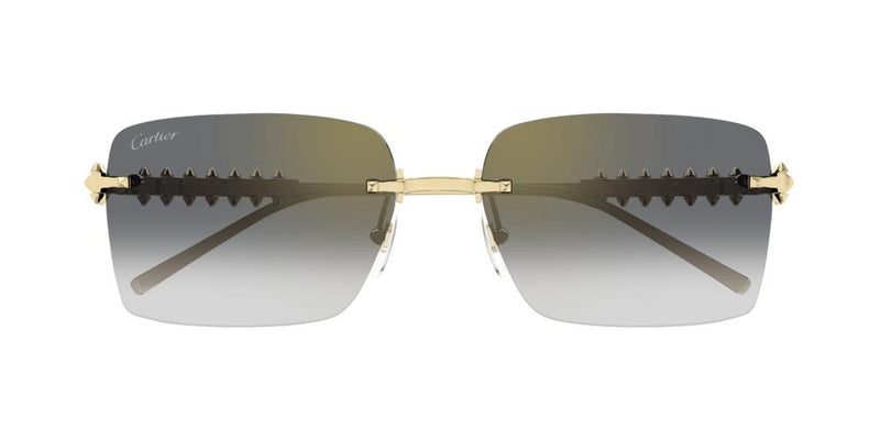 Cartier CT0545S Occhiali da sole 001 BG