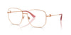 Dolce & Gabbana DG 1356 Occhiali da vista 1298