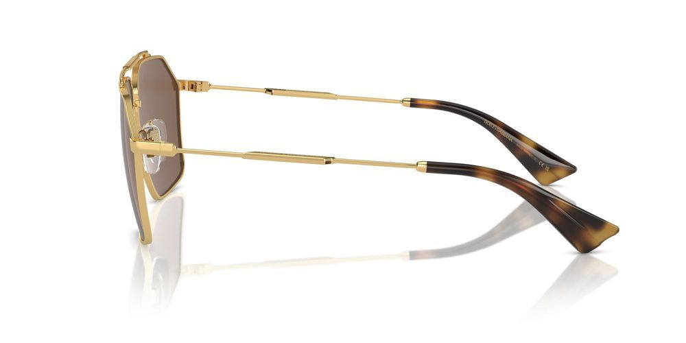 Dolce & Gabbana DG 2303 Occhiali da sole 02/73