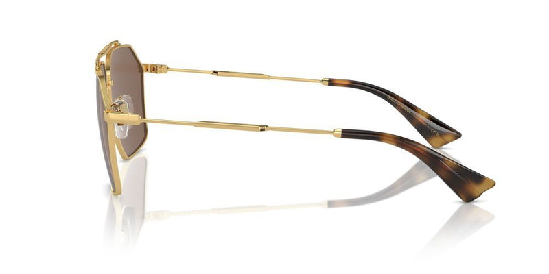Dolce & Gabbana DG 2303 Occhiali da sole 02/73