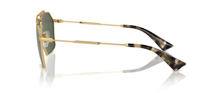 Dolce & Gabbana DG 2303 Occhiali da sole 02/9A