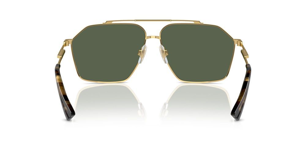 Dolce & Gabbana DG 2303 Occhiali da sole 02/9A