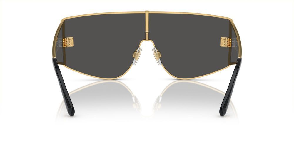 Dolce & Gabbana DG 2305 Occhiali da sole 02/87