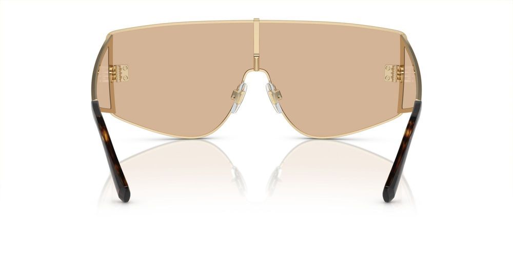 Dolce & Gabbana DG 2305 Occhiali da sole 1365/5A