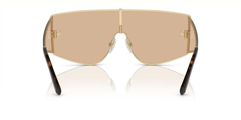 Dolce & Gabbana DG 2305 Occhiali da sole 1365/5A