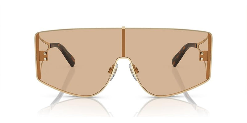 Dolce & Gabbana DG 2305 Occhiali da sole 1365/5A