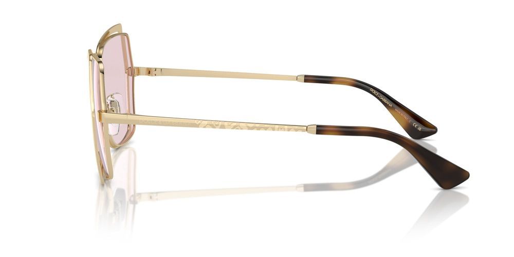 Dolce & Gabbana DG 2306 Occhiali da sole 488/P5