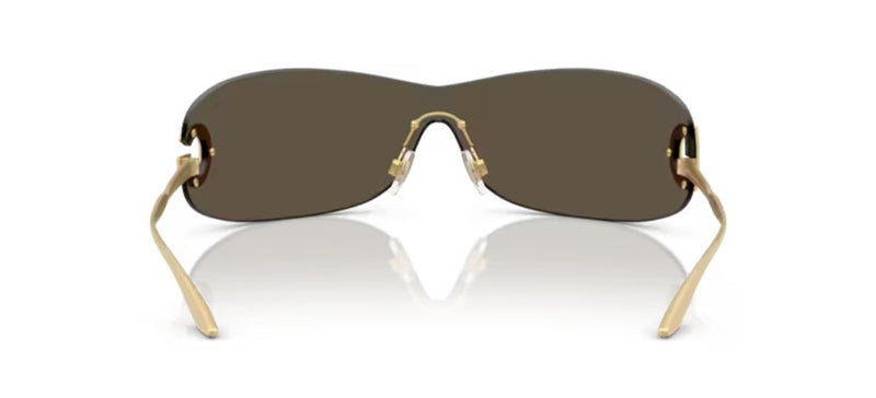 Dolce & Gabbana DG 2308 Occhiali da sole 12246E GDGD