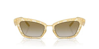 Dolce & Gabbana DG 2311 Occhiali da sole 12246E