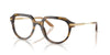 Dolce & Gabbana DG 3402 Occhiali da vista 3446 SBR
