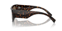 Dolce & Gabbana DG 4461 Occhiali da sole 502/73
