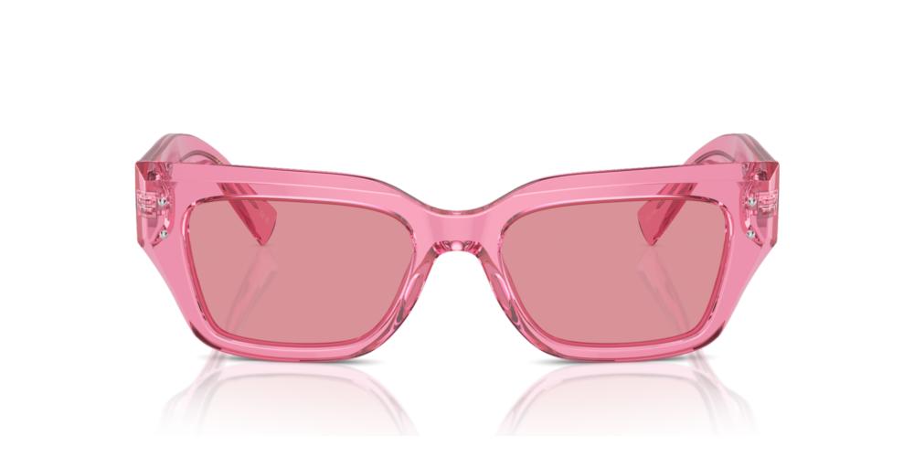 Dolce & Gabbana DG 4462 Occhiali da sole 314830