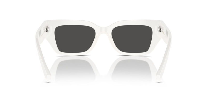 Dolce & Gabbana DG 4462 Occhiali da sole 331287