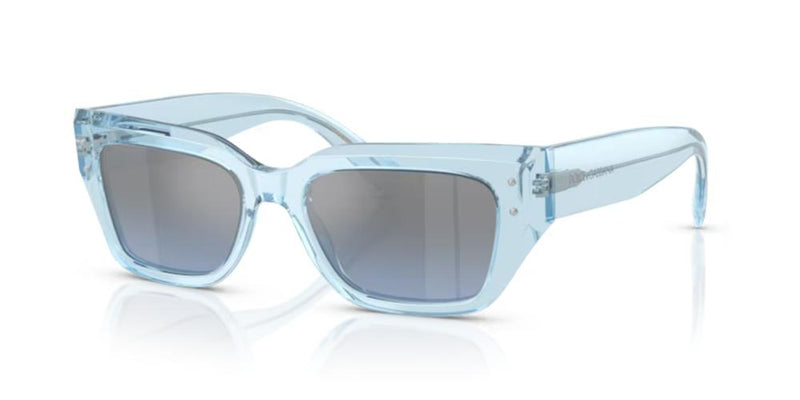 Dolce & Gabbana DG 4462 Occhiali da sole 33227C