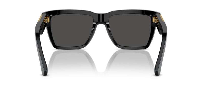 Dolce & Gabbana DG 4465 Occhiali da sole 501/87