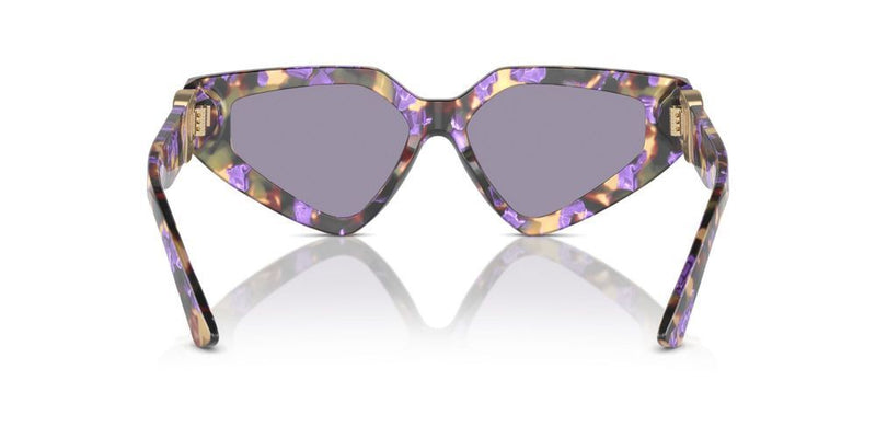 Dolce & Gabbana DG 4469 Occhiali da sole 3439/1