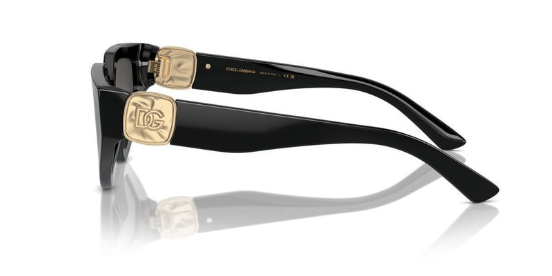 Dolce & Gabbana DG 4469 Occhiali da sole 501/87
