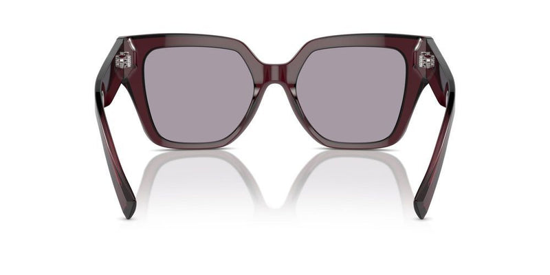 Dolce & Gabbana DG 4471 Occhiali da sole 3045AK