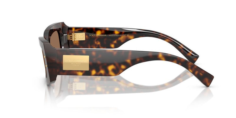 Dolce & Gabbana DG 4479 Occhiali da sole 502/73