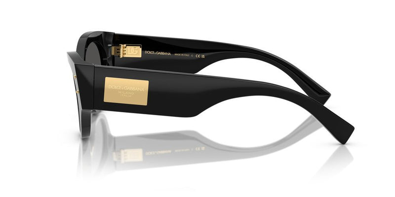 Dolce & Gabbana DG 4480 Occhiali da sole 501/87