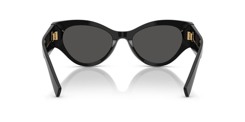 Dolce & Gabbana DG 4480 Occhiali da sole 501/87