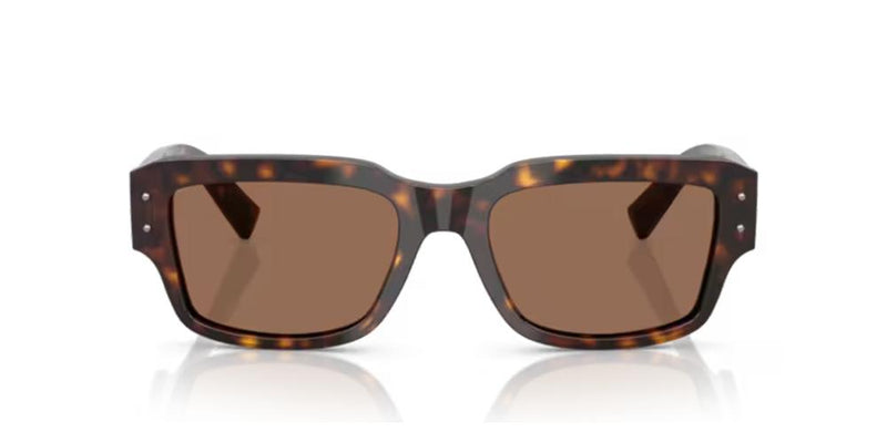 Dolce & Gabbana DG 4483 Occhiali da sole 502/73