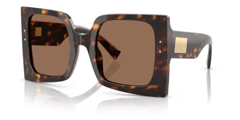 Dolce & Gabbana DG 4490 Occhiali da sole 502/73
