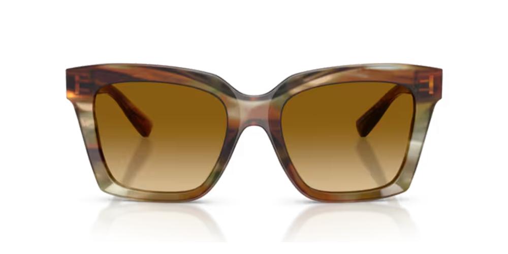 Dolce & Gabbana DG 4498 Occhiali da sole 34462L