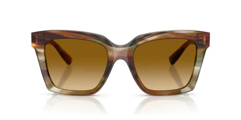 Dolce & Gabbana DG 4498 Occhiali da sole 34462L