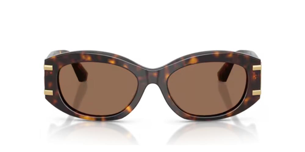 Dolce & Gabbana DG 4502 Occhiali da sole 502/73