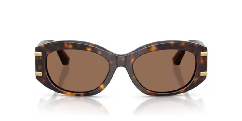 Dolce & Gabbana DG 4502 Occhiali da sole 502/73