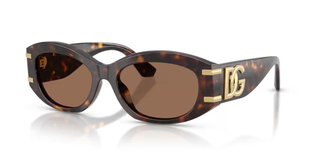 Dolce & Gabbana DG 4502 Occhiali da sole 502/73
