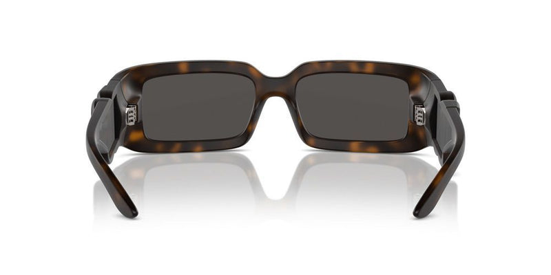 Dolce & Gabbana DG 6197 Occhiali da sole 193587