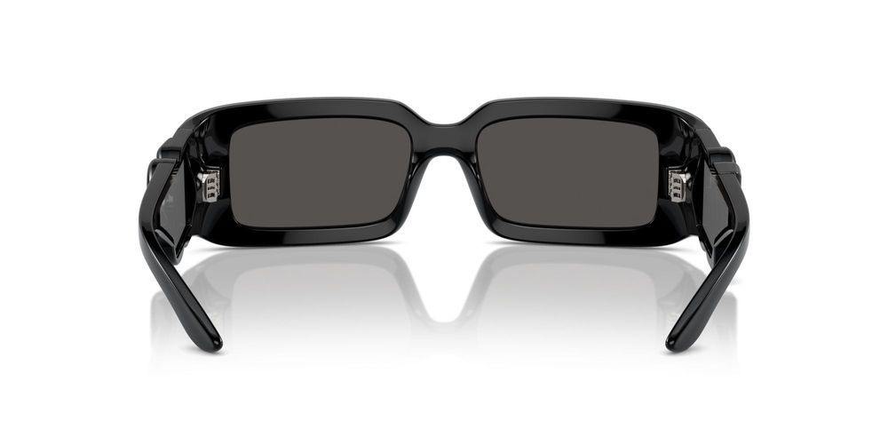 Dolce & Gabbana DG 6197 Occhiali da sole 501/87