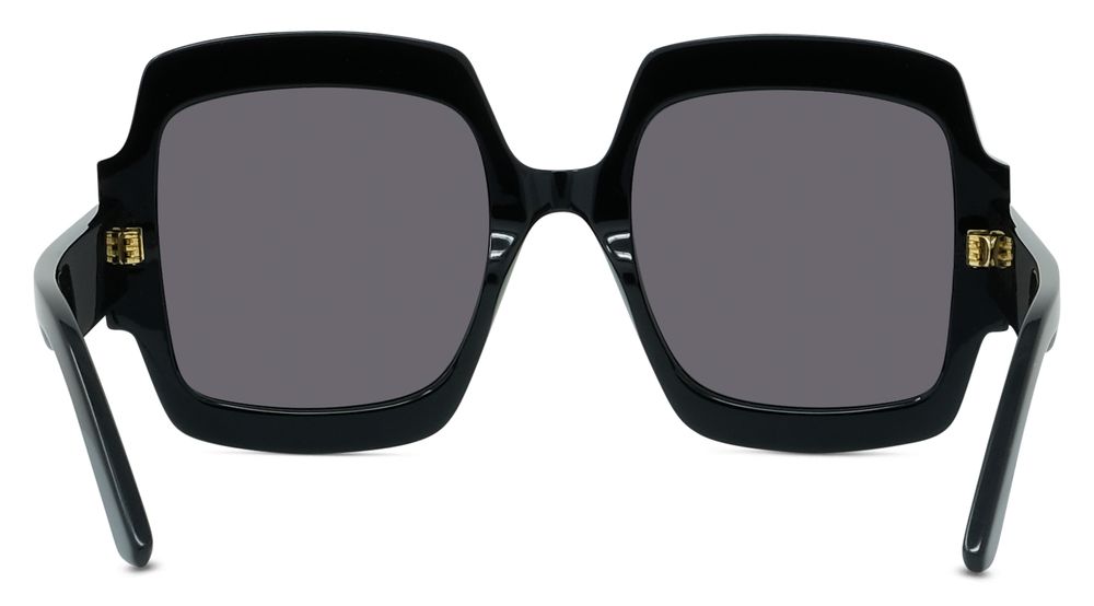 DIOR DiorSignature S1U Occhiali da sole 10A0